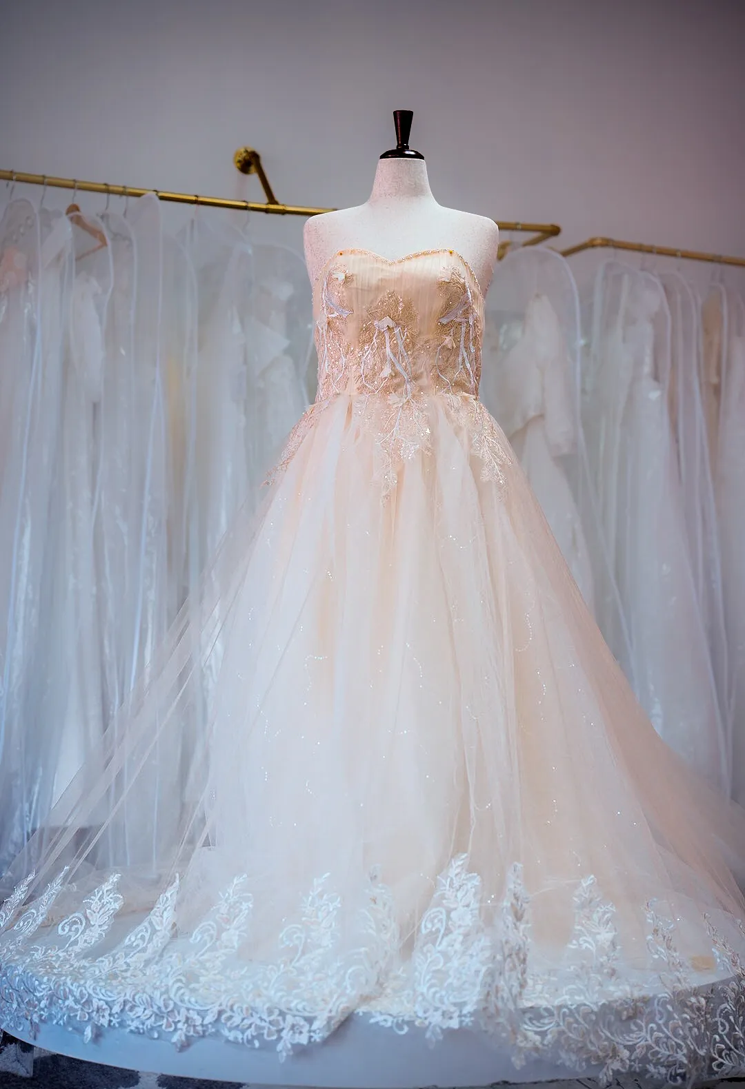 Champagne beaded wedding gown photo 2