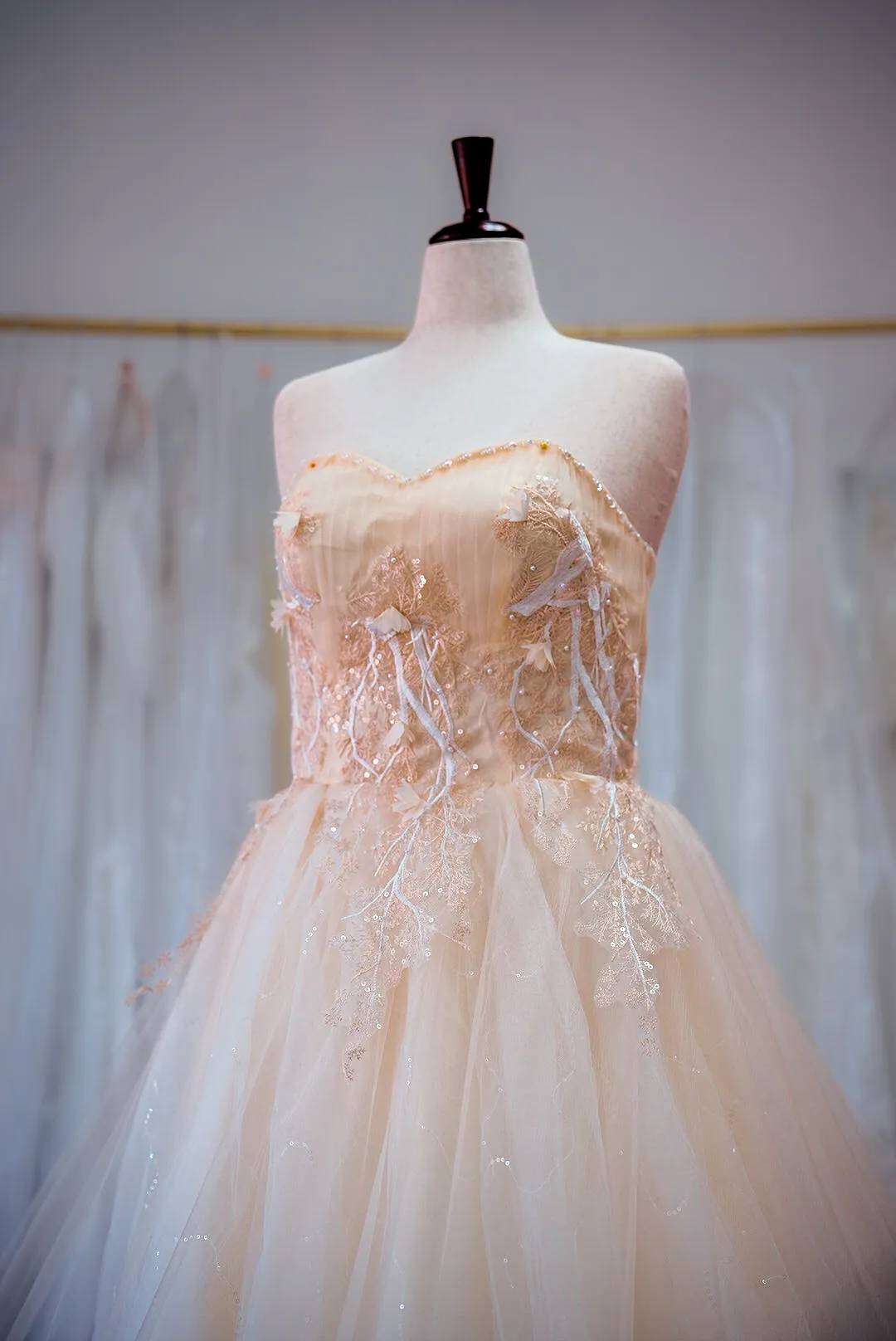 Champagne beaded wedding gown photo 3