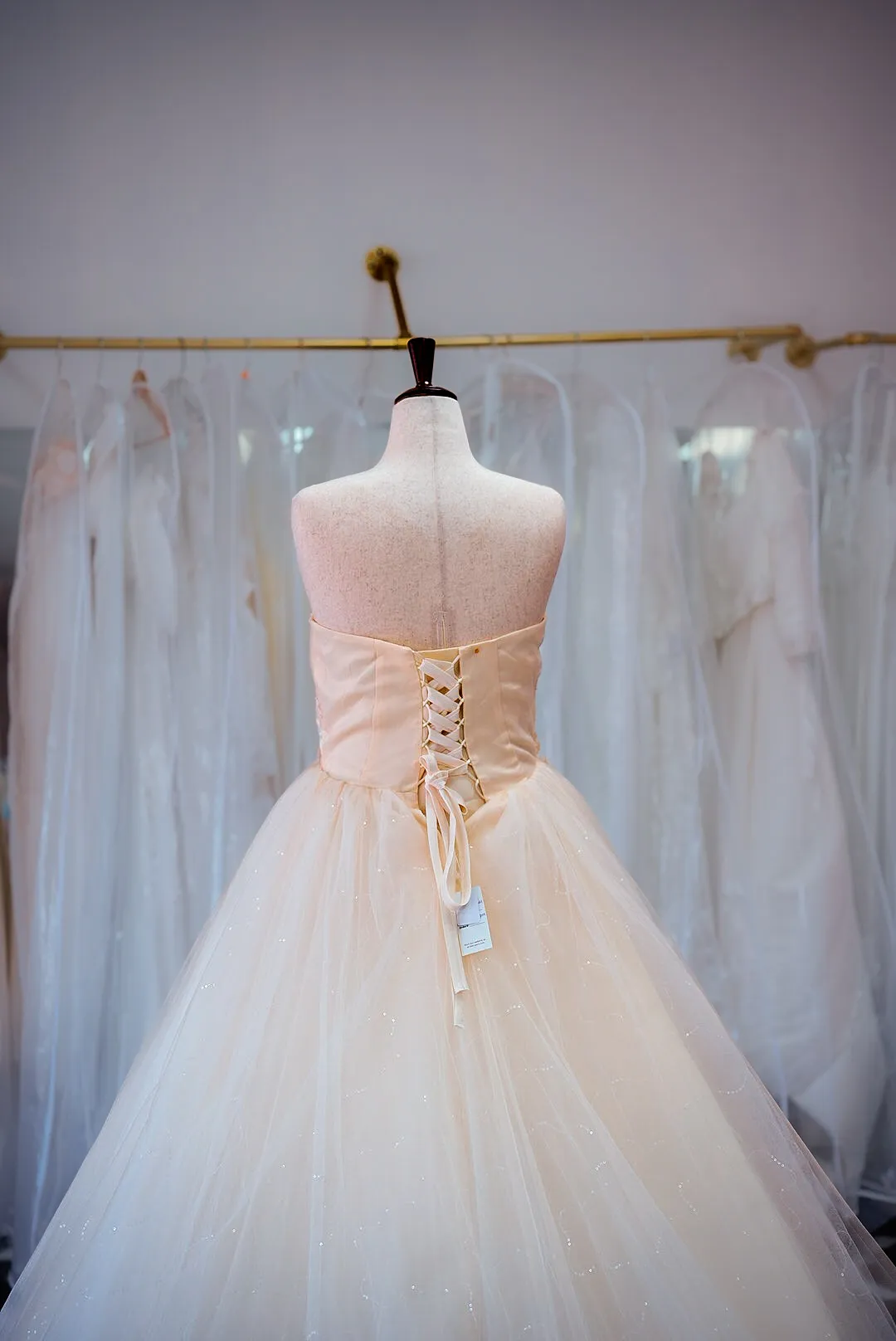 Champagne beaded wedding gown photo 5